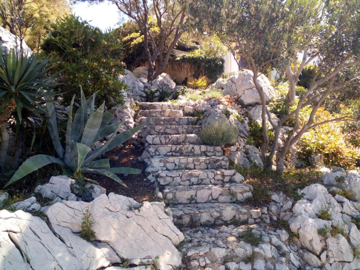 באסקה Apartment Zvijezda מראה חיצוני תמונה